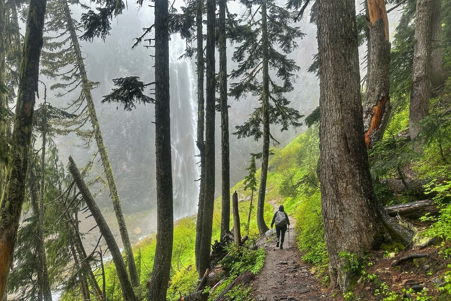 A hiker walks along a forest trail toward a tall waterfall cascading down a steep cliff. Towering evergreen trees frame the misty scene of one of the many waterfall hikes at Mount Rainier.