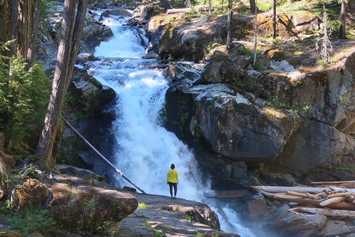 A person stands on a rock ledge facing a powerful waterfall, highlighting the dramatic beauty of the waterfalls at Mount Rainier. Evergreen trees, large boulders, and fallen logs surround the scene.
