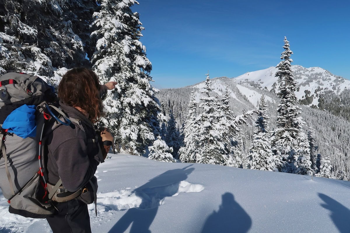 A guide points toward a snow covered mountain during a Hurricane Ridge snowshoeing tour. Deep snow and frost covered evergreen trees fill the surrounding winter landscape.