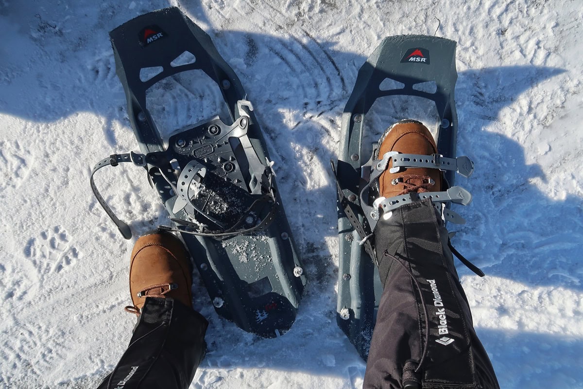 A hiker straps brown winter boots into a pair of snowshoes for Hurricane Ridge in winter. A second snowshoe rests beside them on the packed snow.